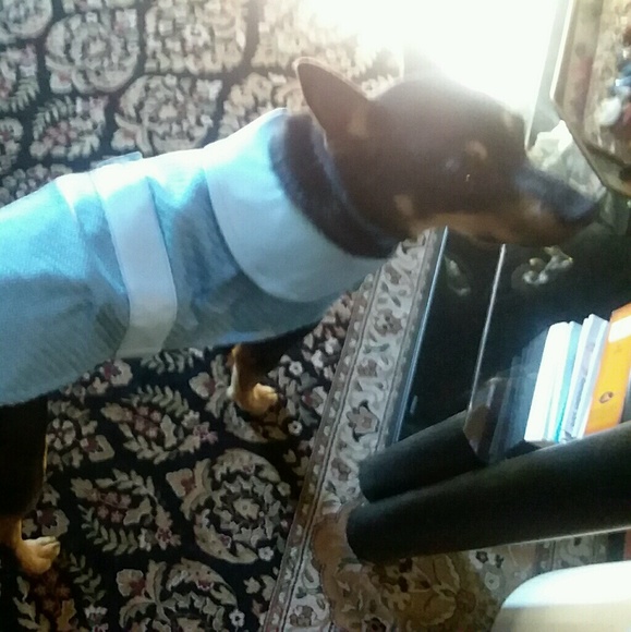 Meet your Posher, Gail - Picture 1 of 1